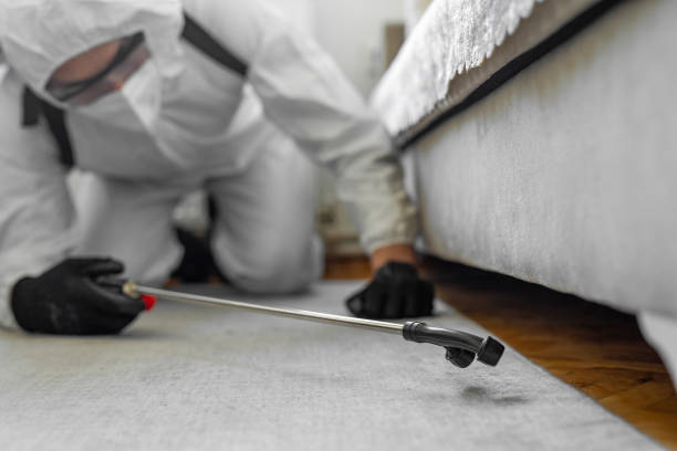 Professional Mosquito Control technician working in South Farmingdale, NY