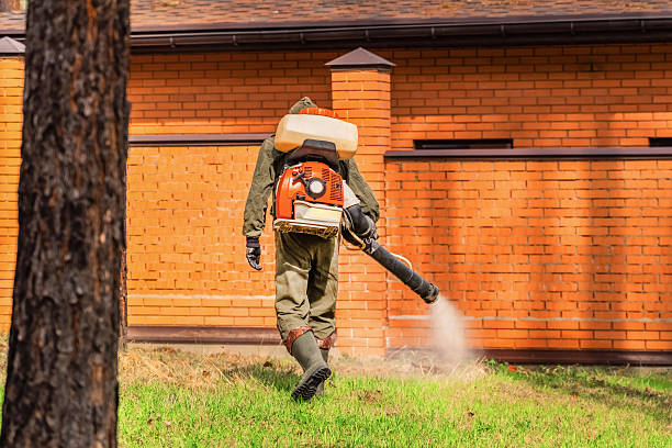 Trusted Rodent Control service in South Farmingdale, NY - Nex Pest Control